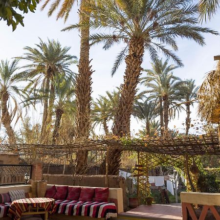 Riad Tabhirte أكدز المظهر الخارجي الصورة