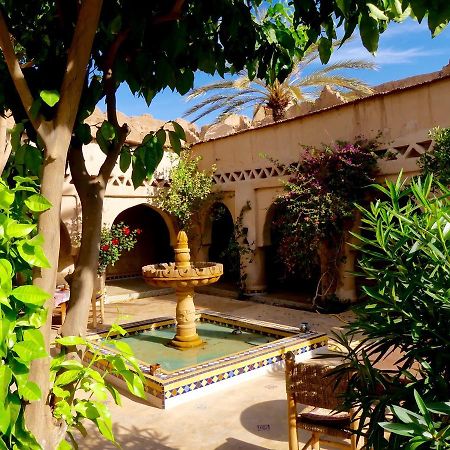 Riad Tabhirte أكدز المظهر الخارجي الصورة
