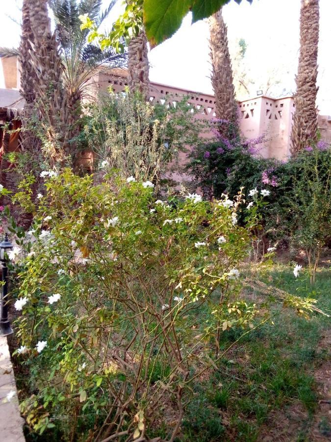 Riad Tabhirte أكدز المظهر الخارجي الصورة