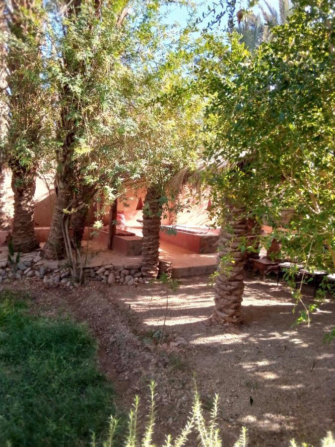 Riad Tabhirte أكدز المظهر الخارجي الصورة