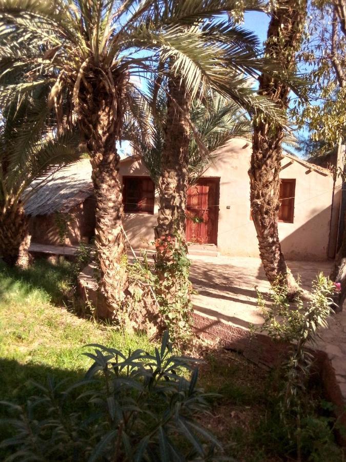 Riad Tabhirte أكدز المظهر الخارجي الصورة