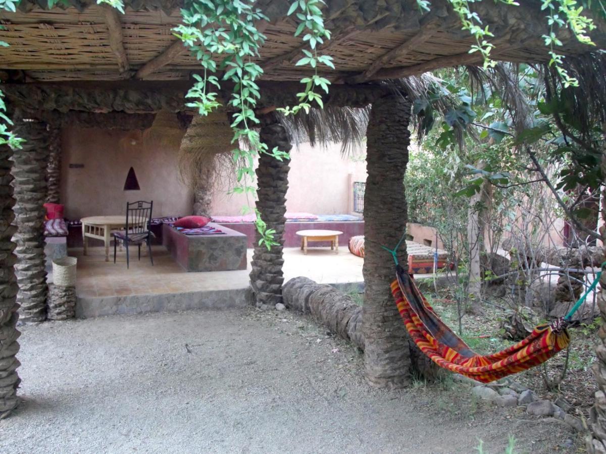 Riad Tabhirte أكدز المظهر الخارجي الصورة