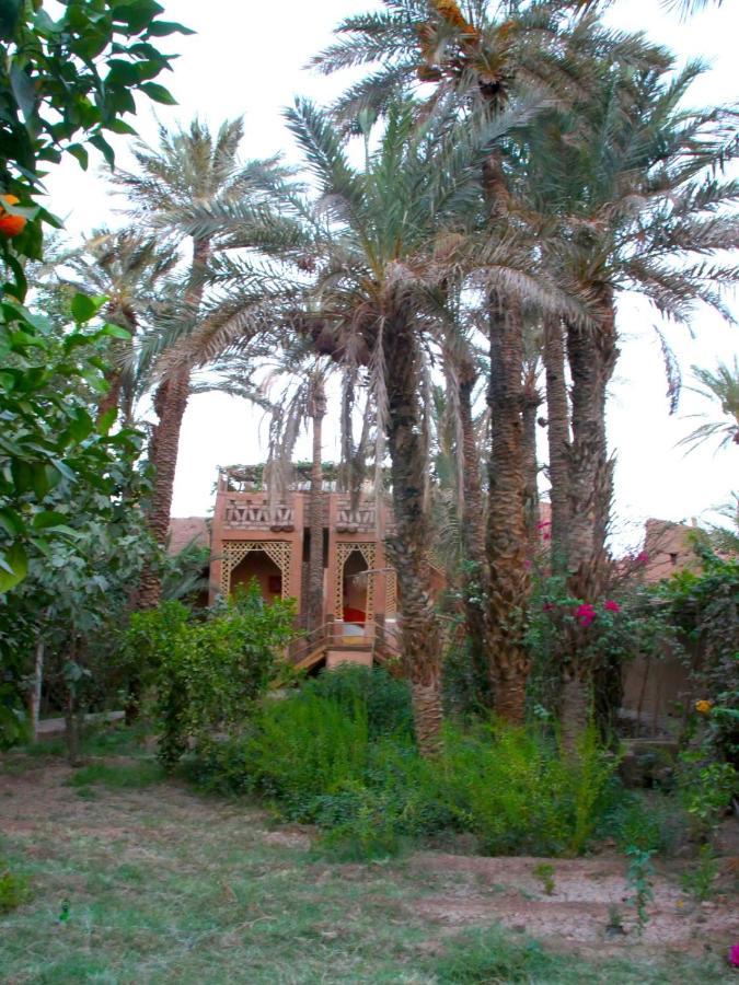 Riad Tabhirte أكدز المظهر الخارجي الصورة