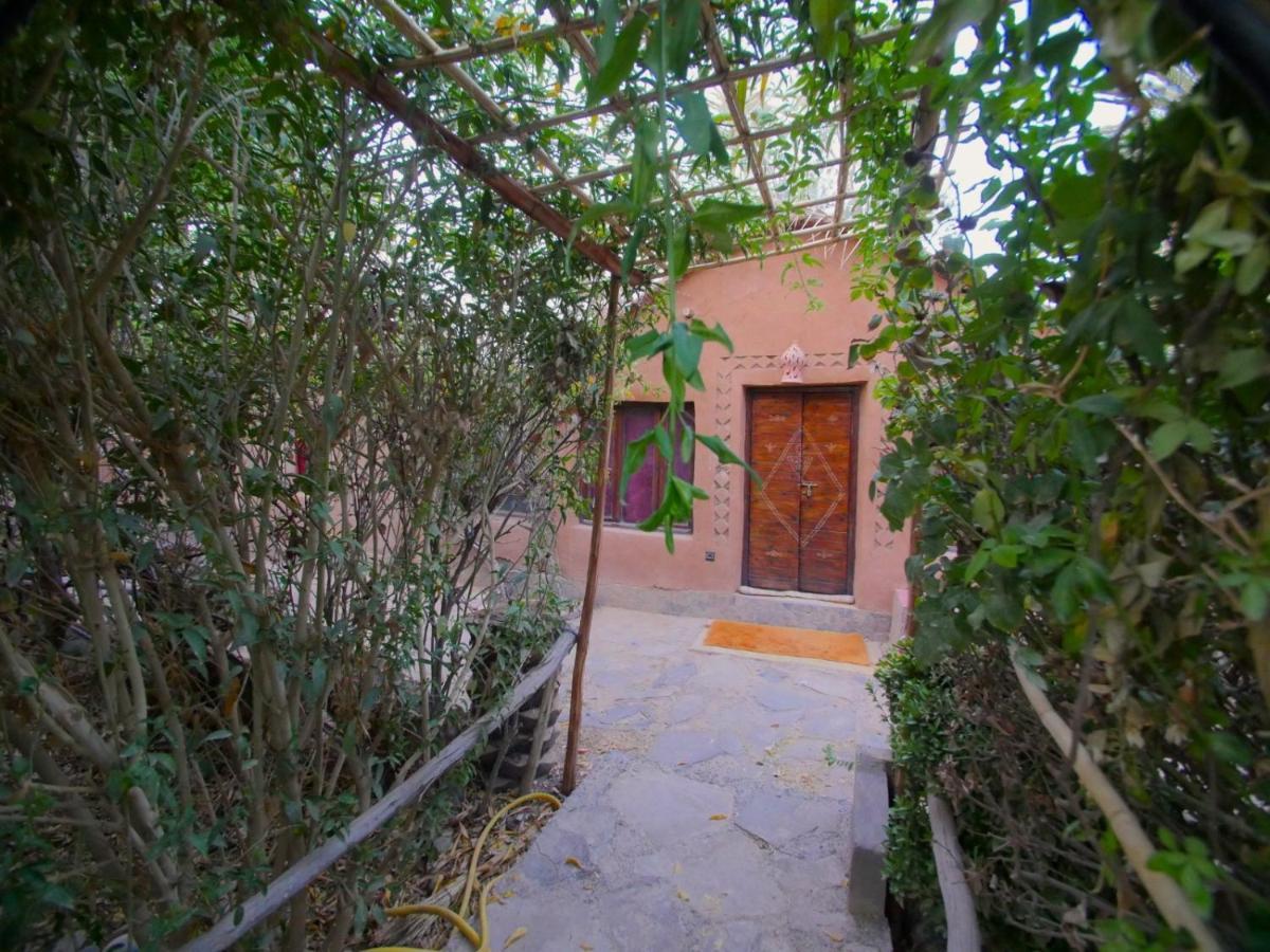 Riad Tabhirte أكدز المظهر الخارجي الصورة