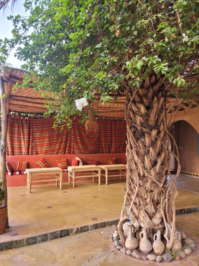 Riad Tabhirte أكدز المظهر الخارجي الصورة