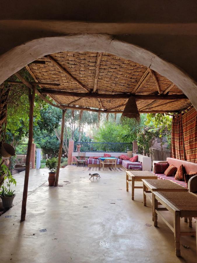 Riad Tabhirte أكدز المظهر الخارجي الصورة