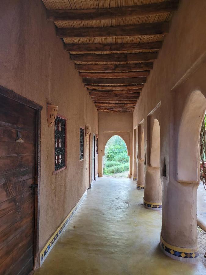 Riad Tabhirte أكدز المظهر الخارجي الصورة