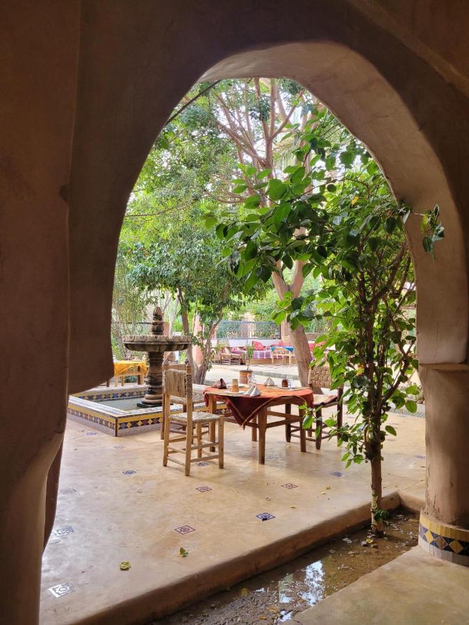 Riad Tabhirte أكدز المظهر الخارجي الصورة