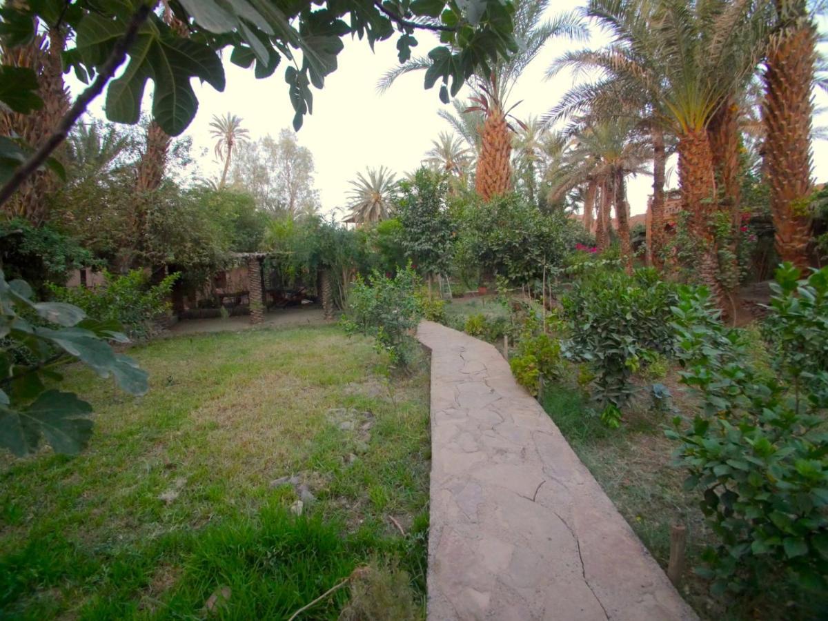 Riad Tabhirte أكدز المظهر الخارجي الصورة