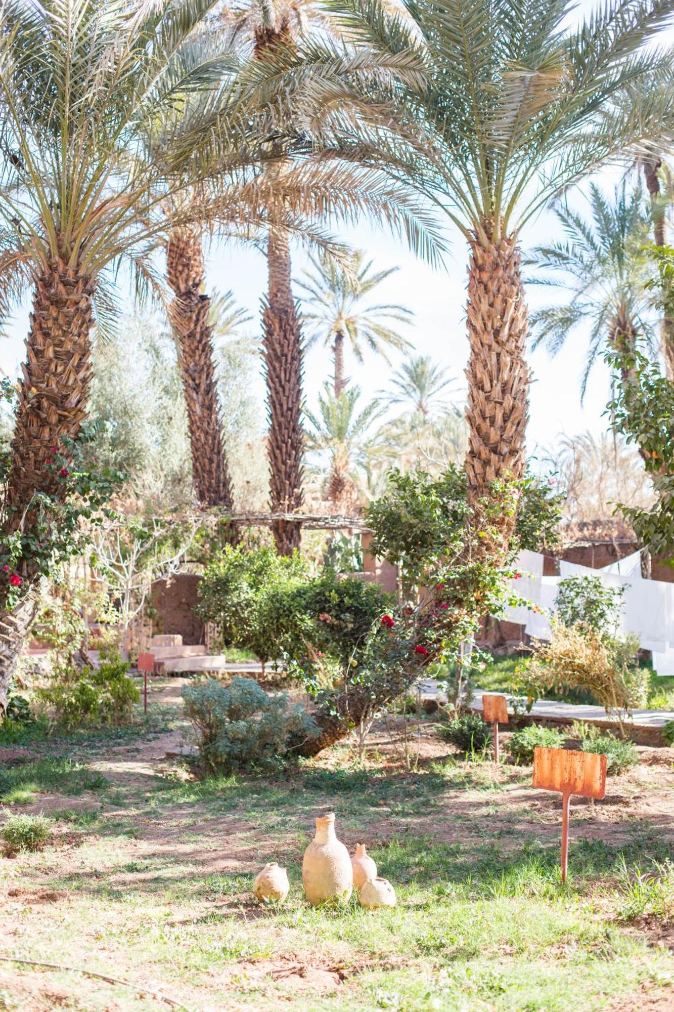 Riad Tabhirte أكدز المظهر الخارجي الصورة