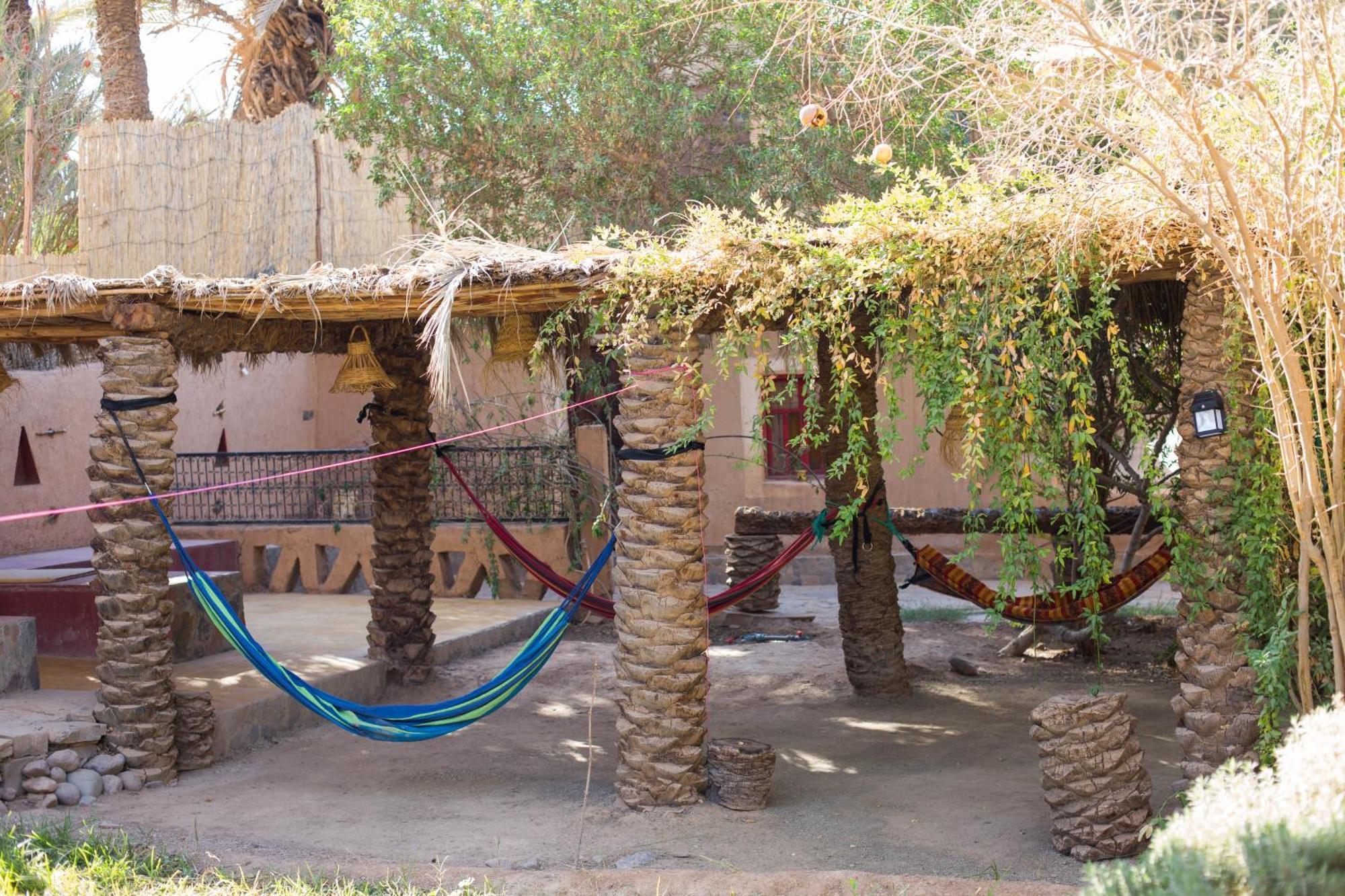 Riad Tabhirte أكدز المظهر الخارجي الصورة