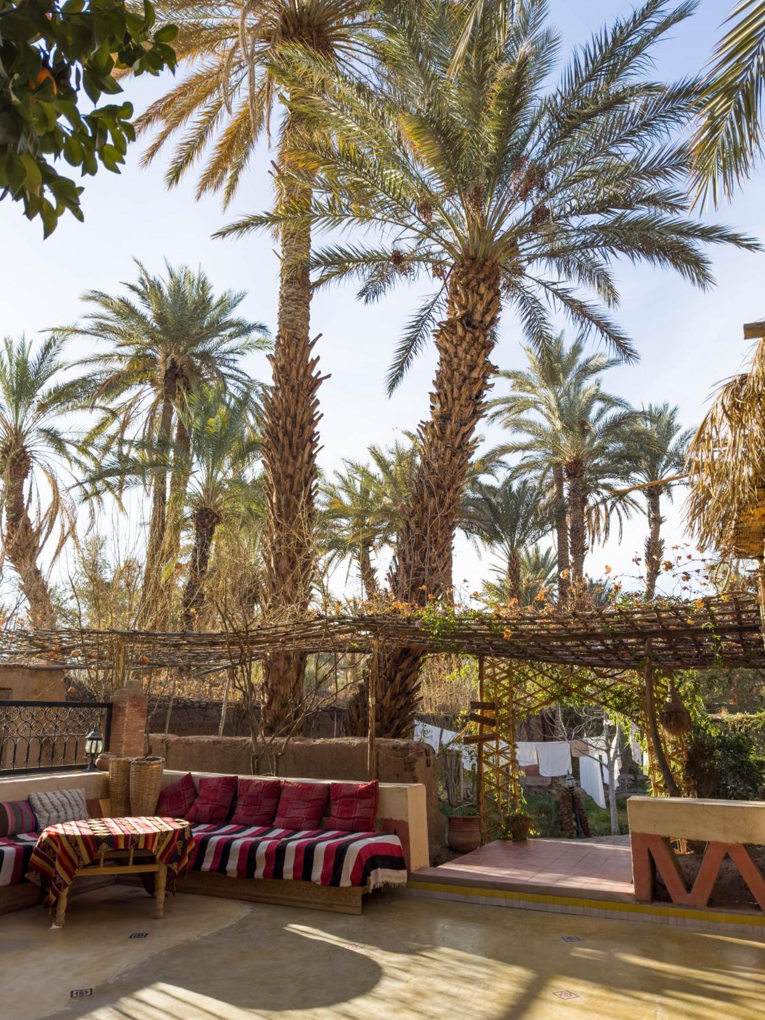 Riad Tabhirte أكدز المظهر الخارجي الصورة