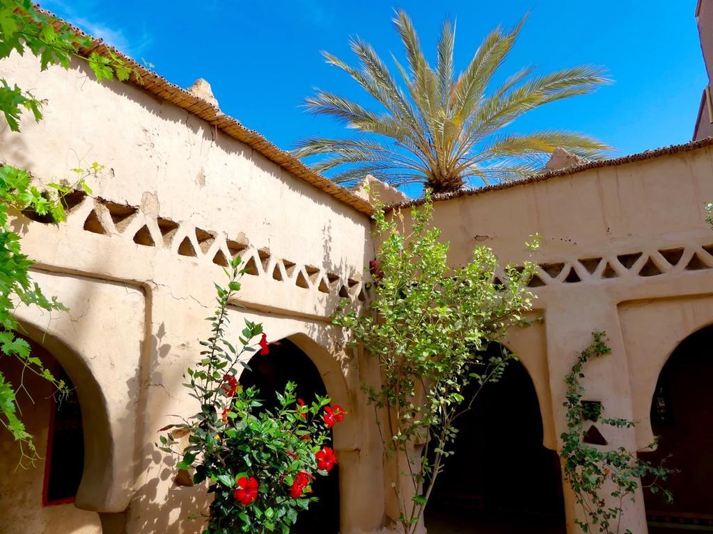 Riad Tabhirte أكدز المظهر الخارجي الصورة