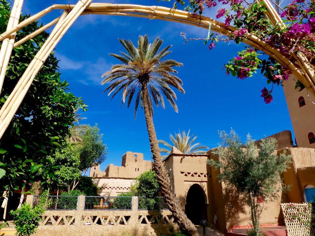 Riad Tabhirte أكدز المظهر الخارجي الصورة
