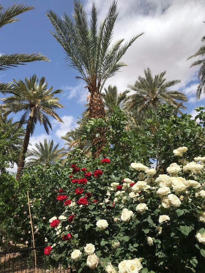 Riad Tabhirte أكدز المظهر الخارجي الصورة